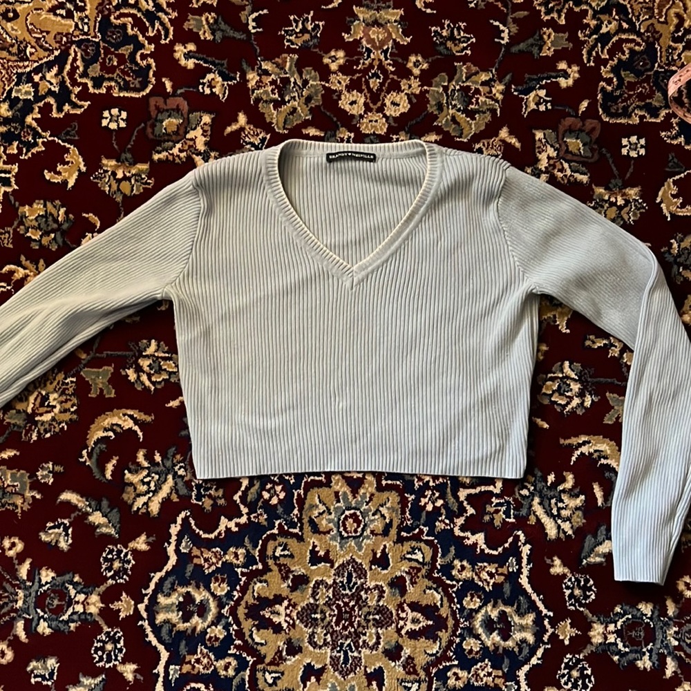 Blue brandy Melville cropped ribbed long sleeve